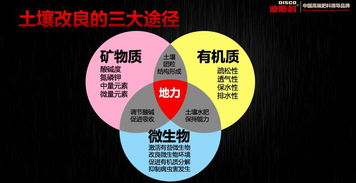 空談資源,沒有核心技術的企業(yè)注定被邊緣化