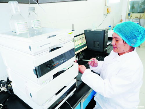 德州瑞康生物科技 深耕研發，高端產品暢銷海外